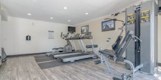 THE MODERN CACTUS Gallery 20