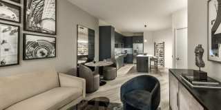 Lucca Fox Valley Gallery 1