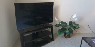 Winter Rental Available October-April 2027 Gallery 6