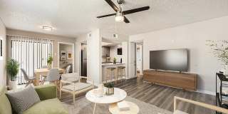 Rise Spring Pointe Gallery 57