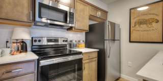 Alder Walk Gallery 19