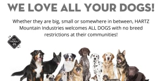 3 Journal Square Gallery 41