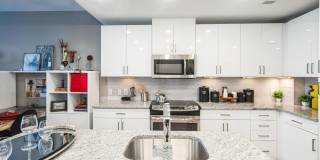 Insignia On M Gallery 47