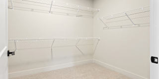 Ellison at The Exchange Gallery 50