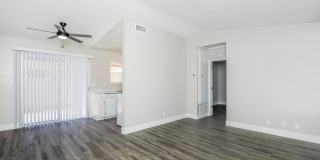 Aspire Seneca Gallery 25