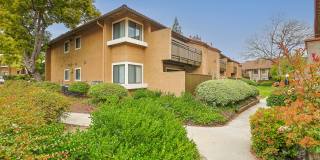 Citrus Place Gallery 51