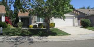 NICE HOME IN ELK GROVE!! Gallery 1