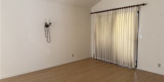 19248 Palm Gallery 5