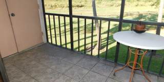 Condo in East Lake Woodlands Gallery 16