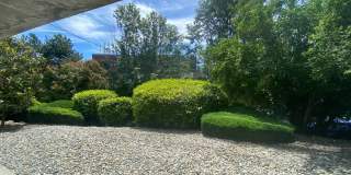 Villa Capri Apartments Gallery 1