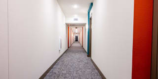 Magnolia on Zang Two Gallery 51