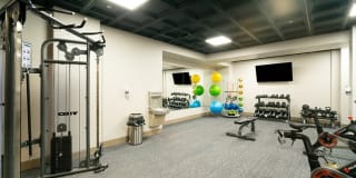 The Flats on Fifth Louisville Gallery 14