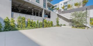 Essence Essence Gallery 44