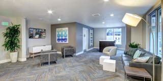 Harrington Square Gallery 24