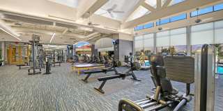 80586 Camino Santa Juliana Gallery 48