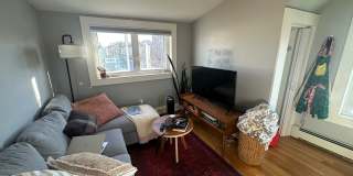 Inman Sq Somerville 2bed / 1bath with laundry in unit - no broker fee - Sept 2026 move in Gallery 4