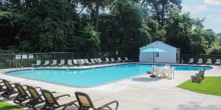 The Dorchester Gallery 16