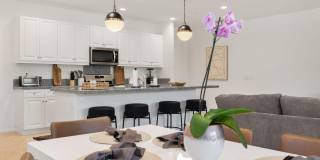 51805 Pinnacle Vista Drive Gallery 31