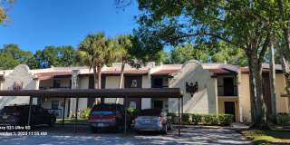 3505 Tarpon Woods Blvd Apt I407 Gallery 1