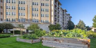 AMLI at Seven Bridges Gallery 34