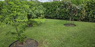 2378 Lob Lolly Ln Gallery 32