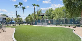 Stone Canyon Gallery 11