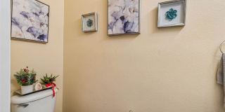2401 Silvermoss Drive Gallery 22