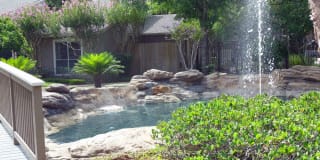 Walden Pond Gallery 16