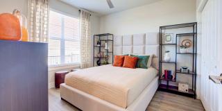 Sendero Trace Gallery 21