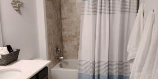 Beautiful 3 bedroom Home in Palm Coast Gallery 14