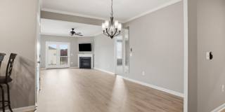 24636 WOOLLY MAMMOTH Terrace Gallery 5
