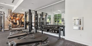 Midtown 205 Gallery 13