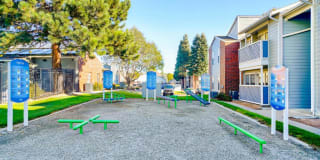 Mountain View Apartment Homes Gallery 6