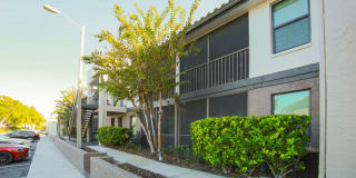 Palms of Clearwater Gallery 52