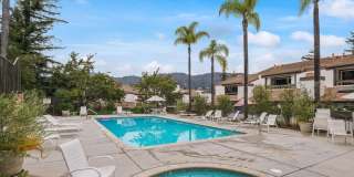 17165 Palisades Cir Gallery 22
