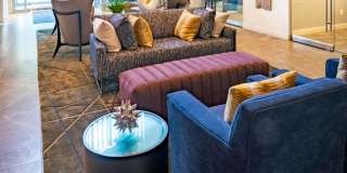 Affinity on Georgia Gallery 14