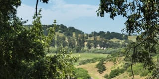 Highlands of Marin Gallery 37