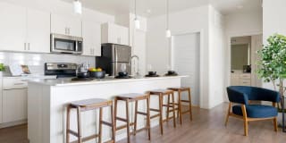 Acero at the Stadium Gallery 7