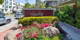 Walnut Hill Gallery 1