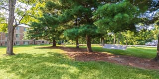 Red Bank Reserve Gallery 24