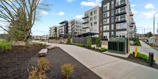 The Piper Gallery 42