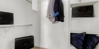 Mt. Rainier Gallery 25