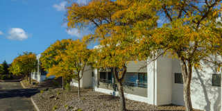 Puerta Del Sol Gallery 21