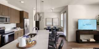 Las Palmas Gallery 13