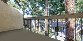 Palm Lane Apartment Homes Gallery 11