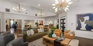 Oak Forest Gallery 6