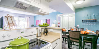 Cooper's Pond Gallery 2