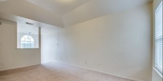 8514 Collingwood Gallery 11