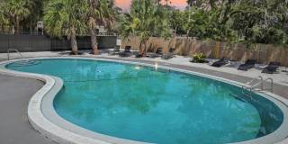 Marco Meadows Gallery 7