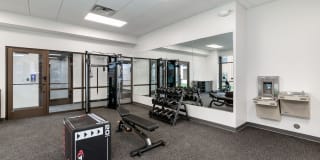 The Avante Gallery 37